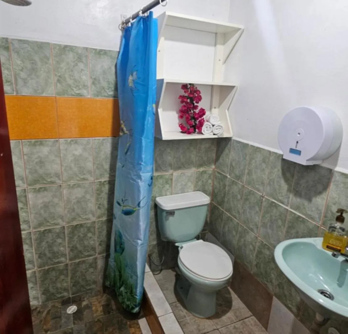Kwatera prywatna Apartament Flor'S House San Cristóbal