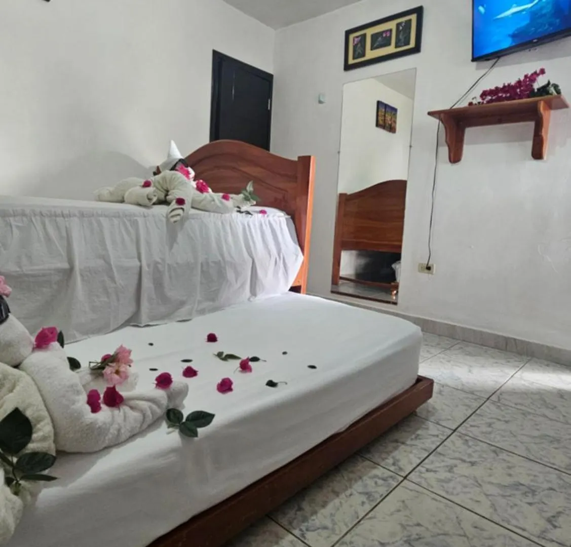 Apartament Flor'S House San Cristóbal